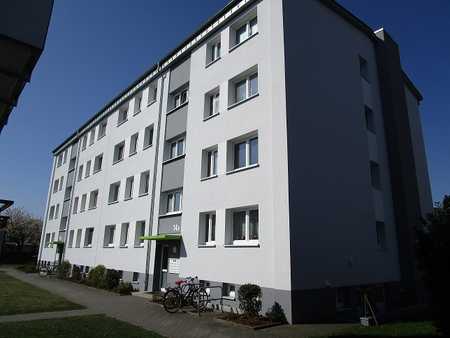 Single rotenburg wumme